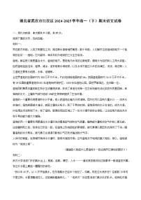 湖北省武汉市江汉区2024-2025学年高一（下）期末语文试题（含答案）