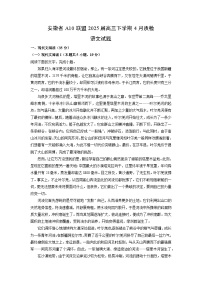 安徽省A10联盟2025届高三下学期4月质检语文试卷（解析版）