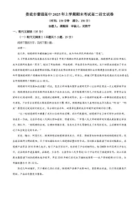 湖南省娄底市涟源市2024-2025学年高二下学期期末语文试卷（Word版附解析）