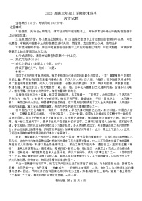 衡水金卷2025届高三上学期1月期末联考语文试题（含答案）