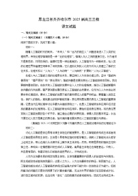 黑龙江省齐齐哈尔市2025届高三三模语文试卷（解析版）