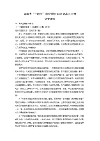 湖南省“一起考”部分学校2025届高三三模语文试卷（解析版）
