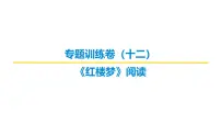 文学类文本阅读专题训练卷及答案解析（十二）2026届高考第一轮总复习语文人教版课件PPT