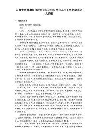 云南省楚雄彝族自治州2024-2025学年高二下学期期末语文试题（含答案）