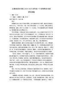 2024-2025学年安徽省部分学校高一下学期期末考试语文试题（解析版）