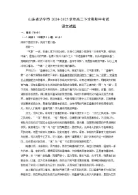 【语文】山东省济宁市2024-2025学年高二下学期期中考试试题（解析版）