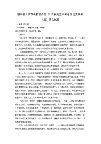 【语文】湖南省长沙市名校联合体2025届高三高考考前仿真联考（三）试题（解析版）