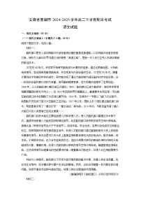 【语文】安徽省芜湖市2024-2025学年高二下学期期末考试试题（解析版）