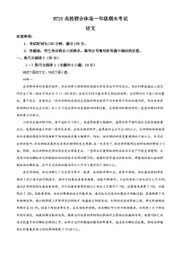 河北省衡水市、廊坊市等学校NT20名校联合体2024-2025学年高一下学期期末语文试题（含答案）