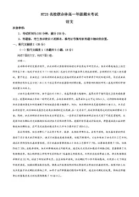 河北省衡水市、廊坊市等学校NT20名校联合体2024-2025学年高一下学期期末语文试题（含答案）