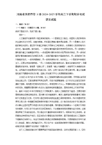 河南省洛阳市等3地2024-2025学年高二下学期期末考试语文试卷（解析版）