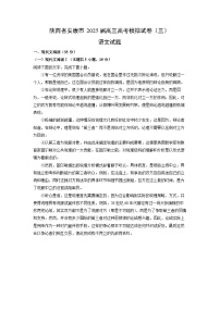 【语文】陕西省安康市2025届高三高考模拟试卷（三）试题（解析版）