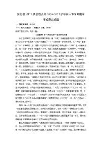 【语文】河北省NT20名校联合体2024-2025学年高一下学期期末考试试题（解析版）
