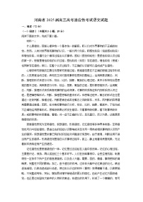 河南省2025届高三高考适应性考试语文试题（解析版）