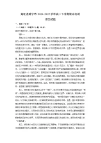 湖北省咸宁市2024-2025学年高一下学期期末考试语文试卷（解析版）