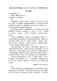 湖北省武汉市武昌区2024-2025学年高二下学期期末考试语文试题（解析版）