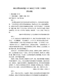 湖北省鄂东南联盟2025届高三下学期5月模拟语文试题（解析版）