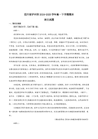 四川省泸州市2024-2025学年高一下学期期末统一考试语文试卷（Word版附解析）