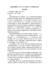 安徽省铜陵市2024-2025学年高二下学期期末考试语文试题（解析版）