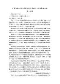 广东省梅州市2024-2025学年高二下学期期末考试语文试题（解析版）