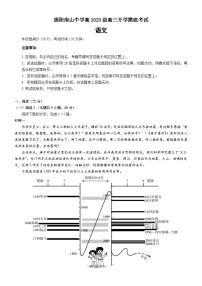 四川省绵阳市南山中学2025-2026学年高三上学期开学摸底考试语文试题（含答案）