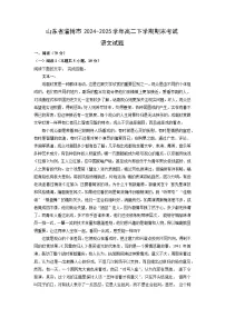 山东省淄博市2024-2025学年高二下学期期末考试语文试题（解析版）