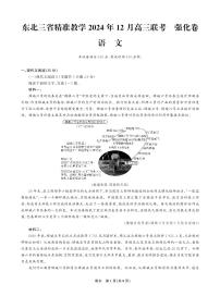 东北三省精准教学2024-2025学年高三上学期12月联考强化卷语文试卷+答案