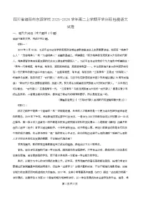 四川省绵阳市东辰国际学校2025-2026学年高二上学期开学分班检测语文试卷（Word版附解析）
