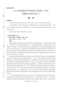 2024年青桐鸣高三上学期10月联考语文通用试题及答案