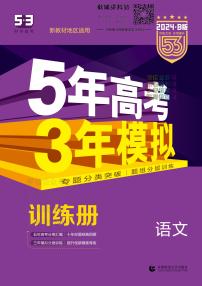 2024版53B版新高考语文训练册