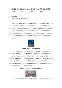 2025-2026学年安徽省部分学校高三11月月考语文试题（附答案解析）