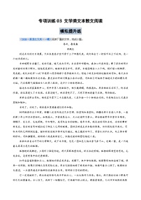专项训练03 文学类文本散文阅读（全国通用）2026年高考语文一轮复习高效培优系列习题+答案