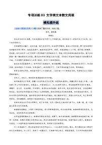 专项训练03 文学类文本散文阅读（全国通用）2026年高考语文一轮复习高效培优系列习题+答案