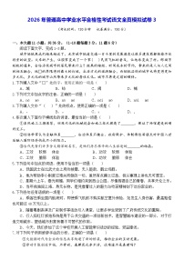 2026年普通高中学业水平合格性考试语文全真模拟试卷3（含答案）
