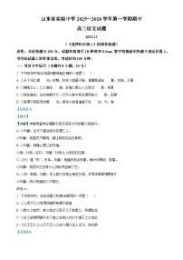 山东省济南市山东省实验中学2025-2026学年高二上学期期中语文试题（含答案）（解析版）