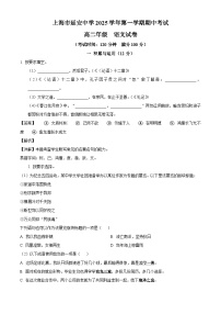 上海市延安中学2025-2026学年高二上学期期中语文试题（含答案）（含解析）