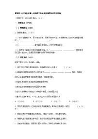 上海市黄浦区2026届高三上学期语文一模试题（含答案）