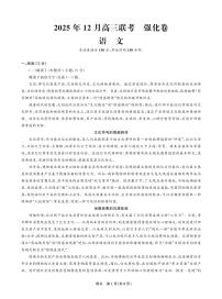 东北精准教学联盟2025-2026学年高三上学期12月联考考后强化卷语文试卷（含答案）