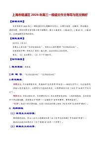 专题08 上海市杨浦区2026年高三一模语文作文导写与范文精析讲练（现实主义与浪漫主义对生活的思考）（上海专用）