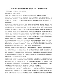 2024-2025学年湖南省怀化市高一（上）期末语文试卷(含相信答案解析)