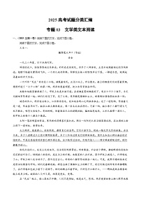 2025年高考语文真题分类汇编专题03 文学类文本阅读