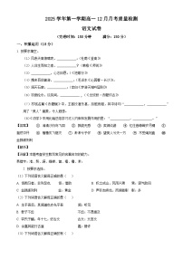 上海市闵行中学分校2025-2026学年高一上学期12月月考语文试题（含答案）（含解析）
