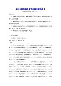 2026年新高考语文全真模拟试卷3（含答案解析）