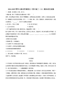 2024-2025学年上海市华东师大一附中高二（上）期末语文试卷(含详细答案解析)