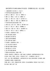 天津市武清区杨村第四中学2025-2026学年高一上学期期中考试语文试卷（含答案）
