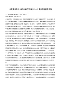 云南省玉溪市2025-2026学年高三（上）期末模拟语文试卷