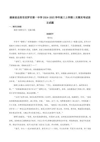 湖南省岳阳市汨罗市第一中学2025届高三上学期1月期末考试语文试卷（含答案）
