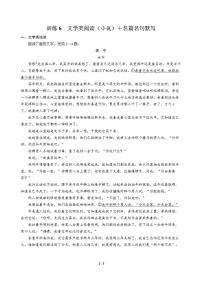 高三语文大二轮专题复习 巩固提升练6 文学类阅读（小说）＋名篇名句默写