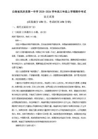 云南省临沧市凤庆县第一中学2025-2026学年高三上学期期中考试语文试卷（含答案）