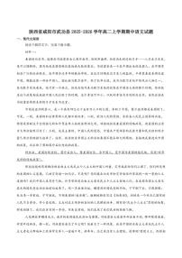 陕西省咸阳市武功县2025-2026学年高二上学期期中质量监测语文试卷（含答案）
